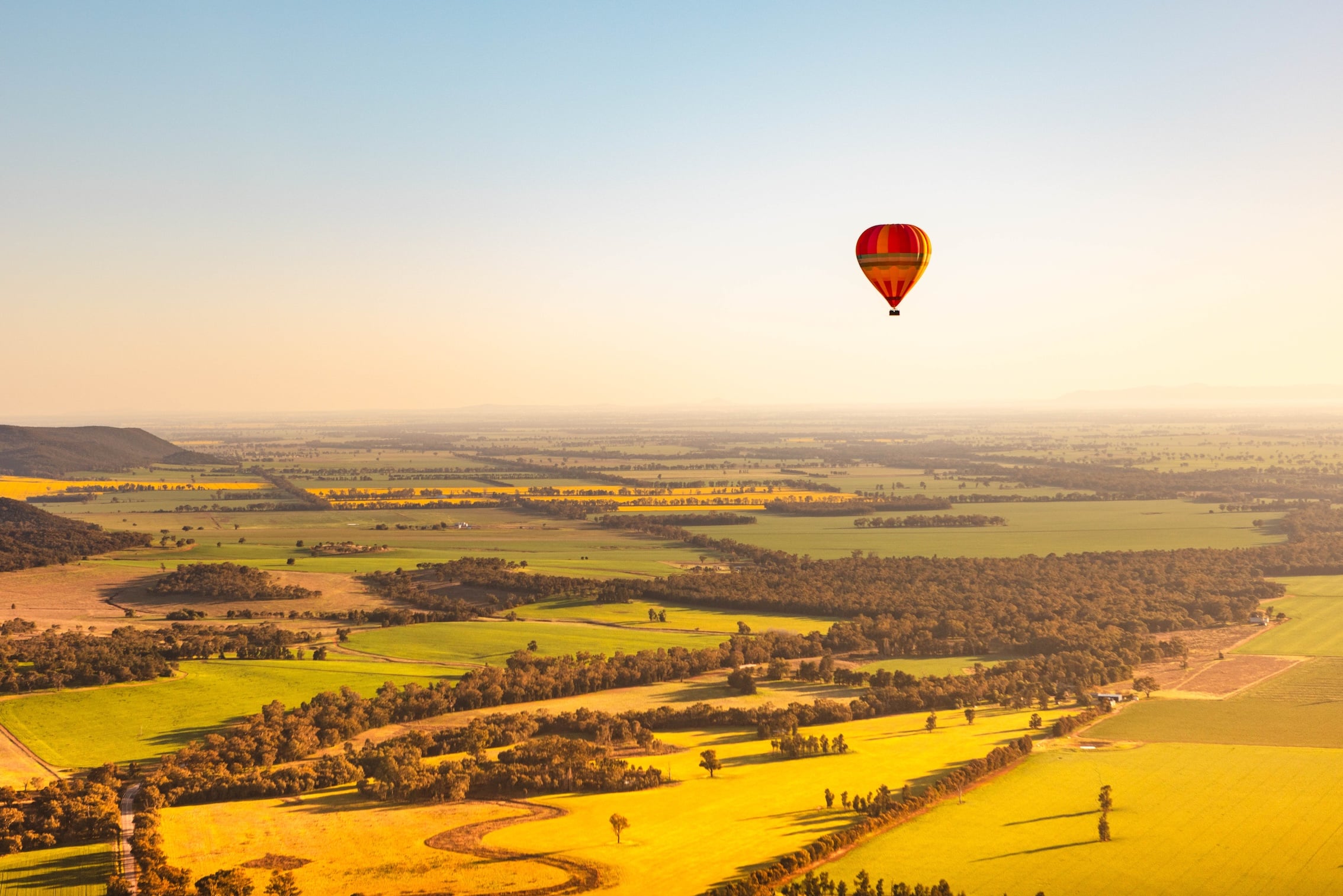 A hot-air balloon over the canola fields near Temora