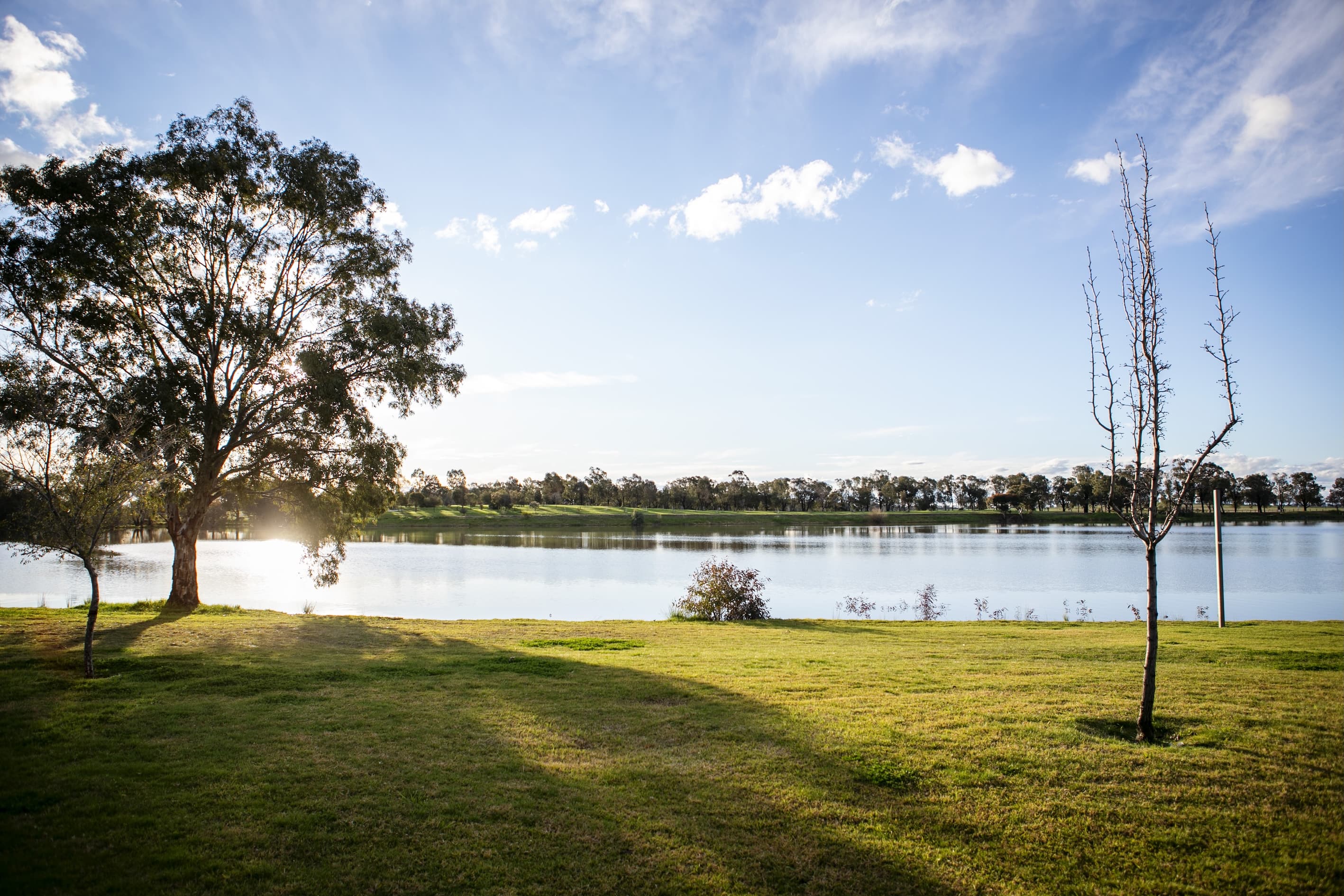 Lake Centenary, Temora